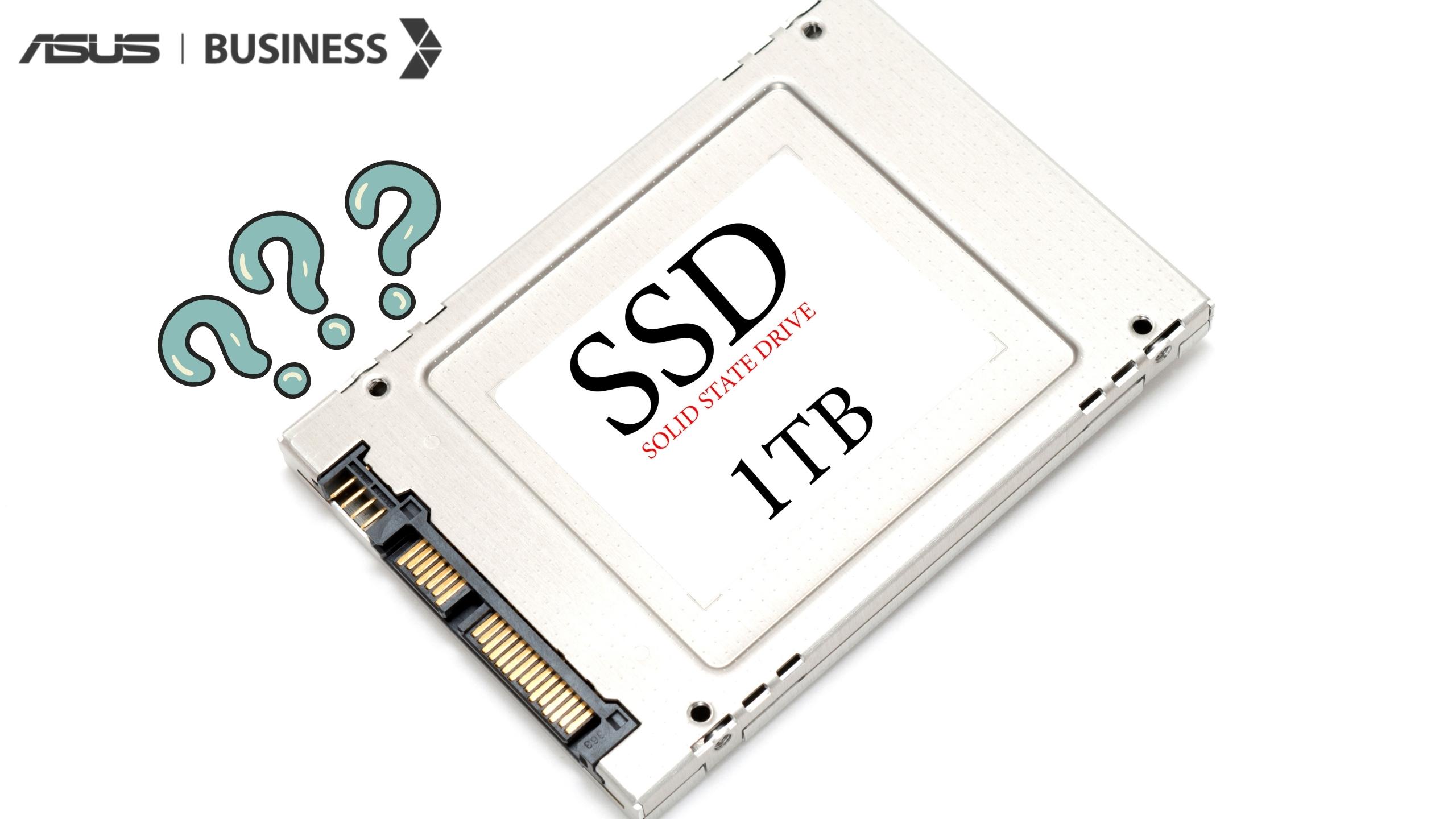 Sekilas Tentang SSD